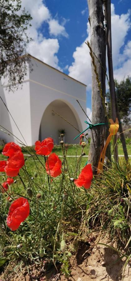 B&B Villa Bello Otranto Kültér fotó